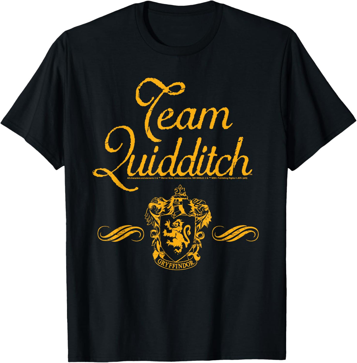 Harry Potter Gryffindor Team Quidditch , Black, S T-Shirt