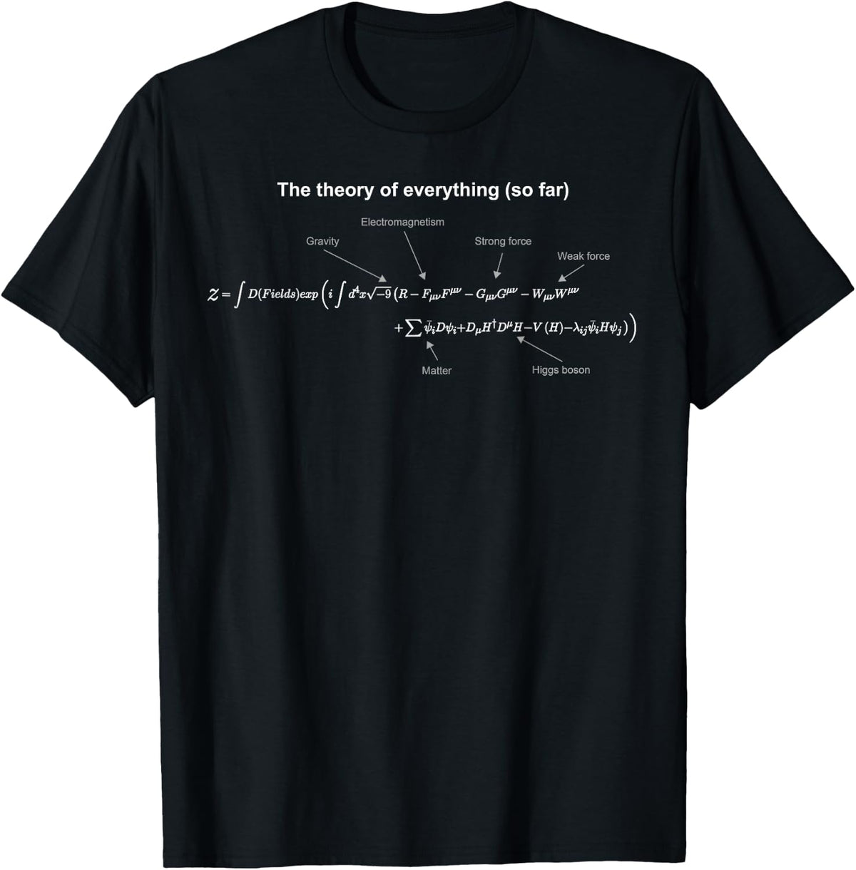 The Cool World of Science The Theory of Everything Equation - Black, -Adults, Small, Short Sleeve T-Shirt