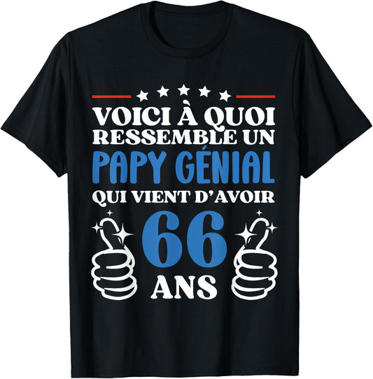 66 Years Gift Humor Birthday Grandpa Awesome , Black, S T-Shirt