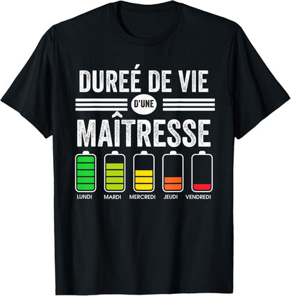 School Mistress Funny Life Of A Mistress , Black, S T-Shirt